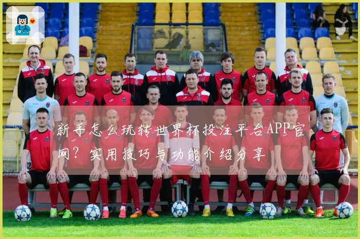新手怎么玩转世界杯投注平台APP官网?实用技巧与功能介绍分享