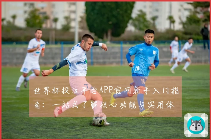 世界杯投注平台APP官网新手入门指南：一站式了解核心功能与实用体验