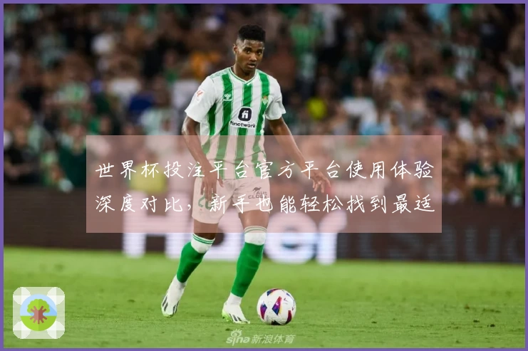 世界杯投注平台官方平台使用体验深度对比，新手也能轻松找到最适合你的精彩入口
