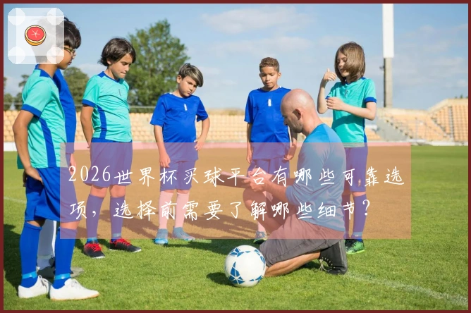 2026世界杯买球平台有哪些可靠选项，选择前需要了解哪些细节？
