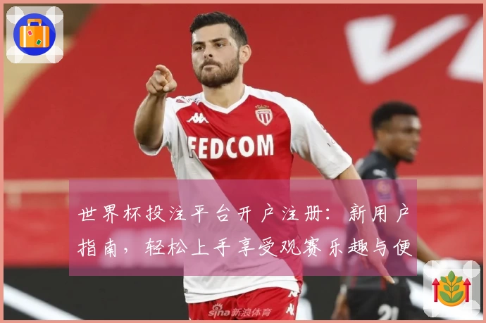世界杯投注平台开户注册:新用户指南,轻松上手享受观赛乐趣与便捷服务