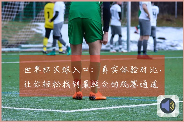 世界杯买球入口:真实体验对比,让你轻松找到最适合的观赛通道
