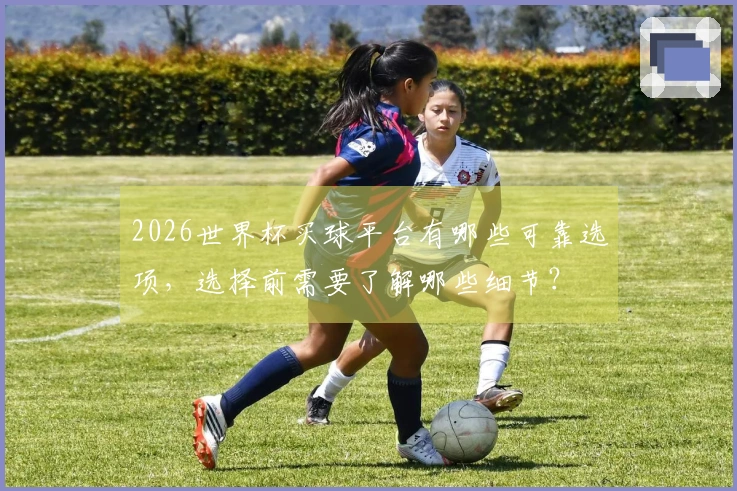 2026世界杯买球平台有哪些可靠选项，选择前需要了解哪些细节？