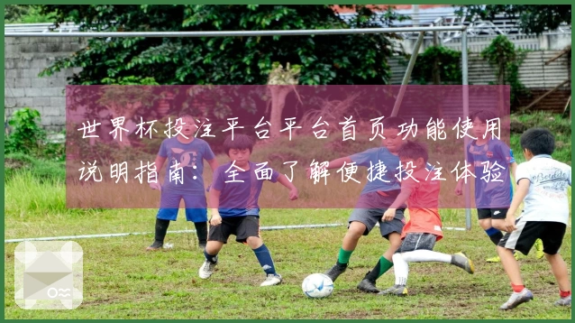 世界杯投注平台平台首页功能使用说明指南：全面了解便捷投注体验