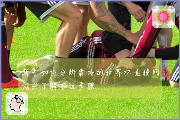 新手如何分辨靠谱的世界杯竞猜网站并了解下注步骤