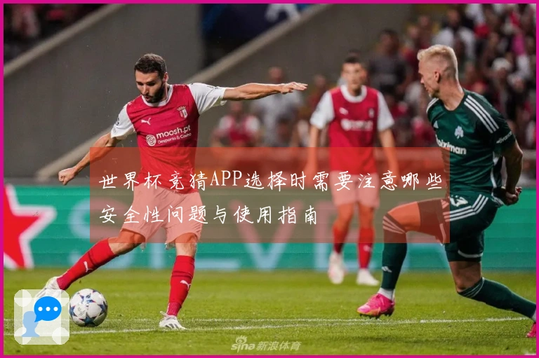 世界杯竞猜APP选择时需要注意哪些安全性问题与使用指南
