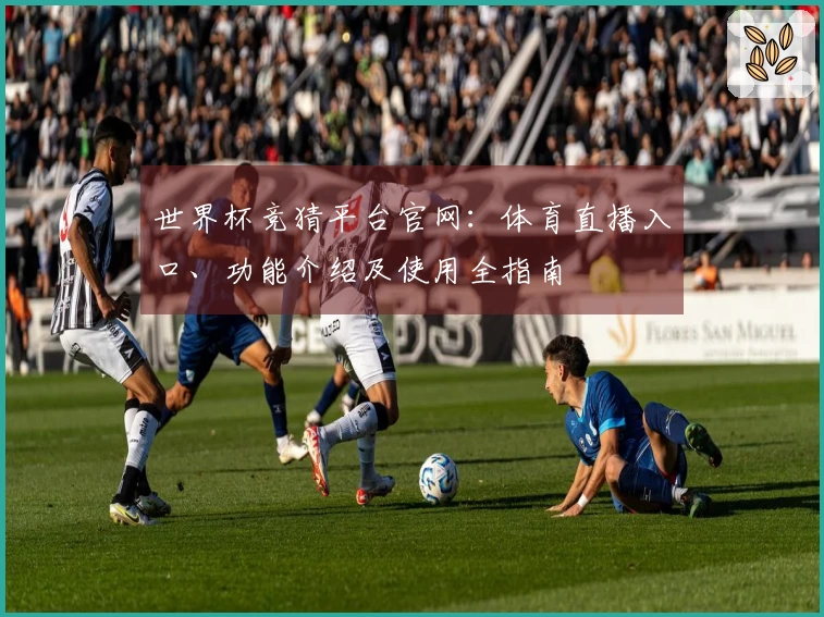 世界杯竞猜平台官网：体育直播入口、功能介绍及使用全指南