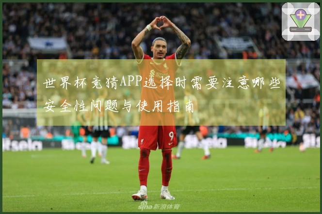 世界杯竞猜APP选择时需要注意哪些安全性问题与使用指南