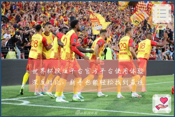 世界杯投注平台官方平台使用体验深度对比，新手也能轻松找到最适合你的精彩入口