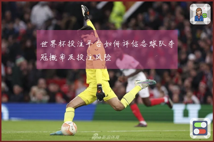 世界杯投注平台如何评估各球队夺冠概率及投注风险