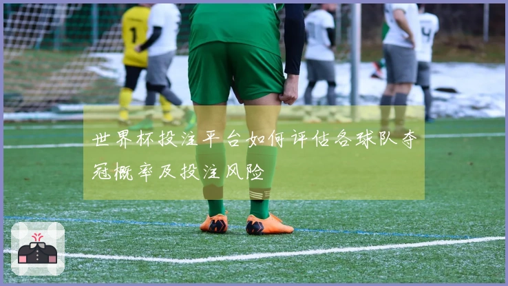 世界杯投注平台如何评估各球队夺冠概率及投注风险